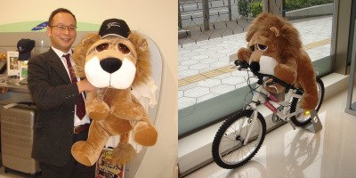 NEWライオンのニックネーム募集～