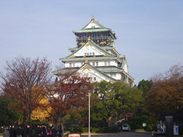 大阪城も紅葉し始めました。