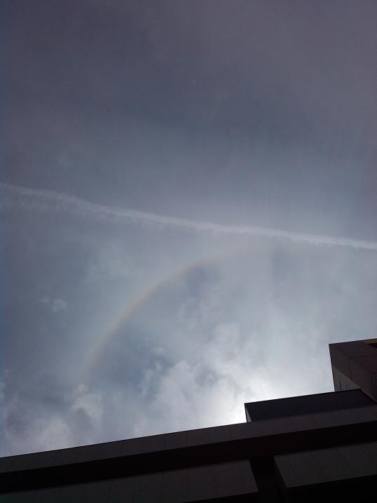 Halo（ヘイロー）