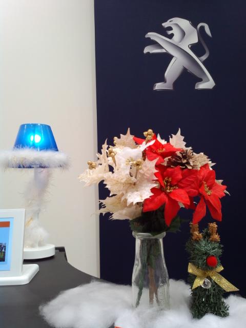 クリスマスプレゼント～☆