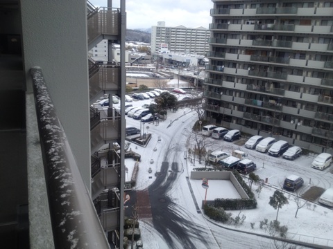 今年はじめて～