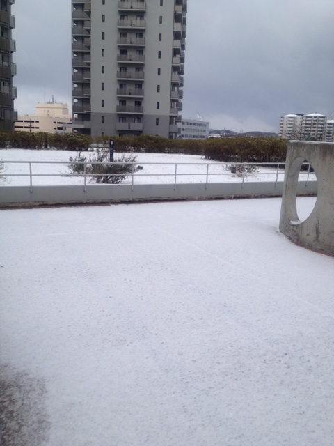 今年はじめて～