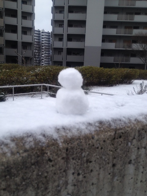 今年はじめて～