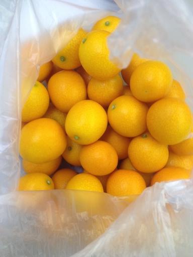 きんこんかんこーん♪