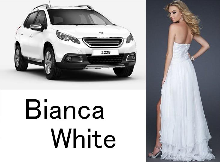 2008の女神たち…♡