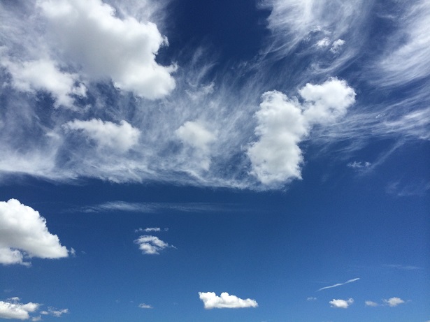 とある夏の休日