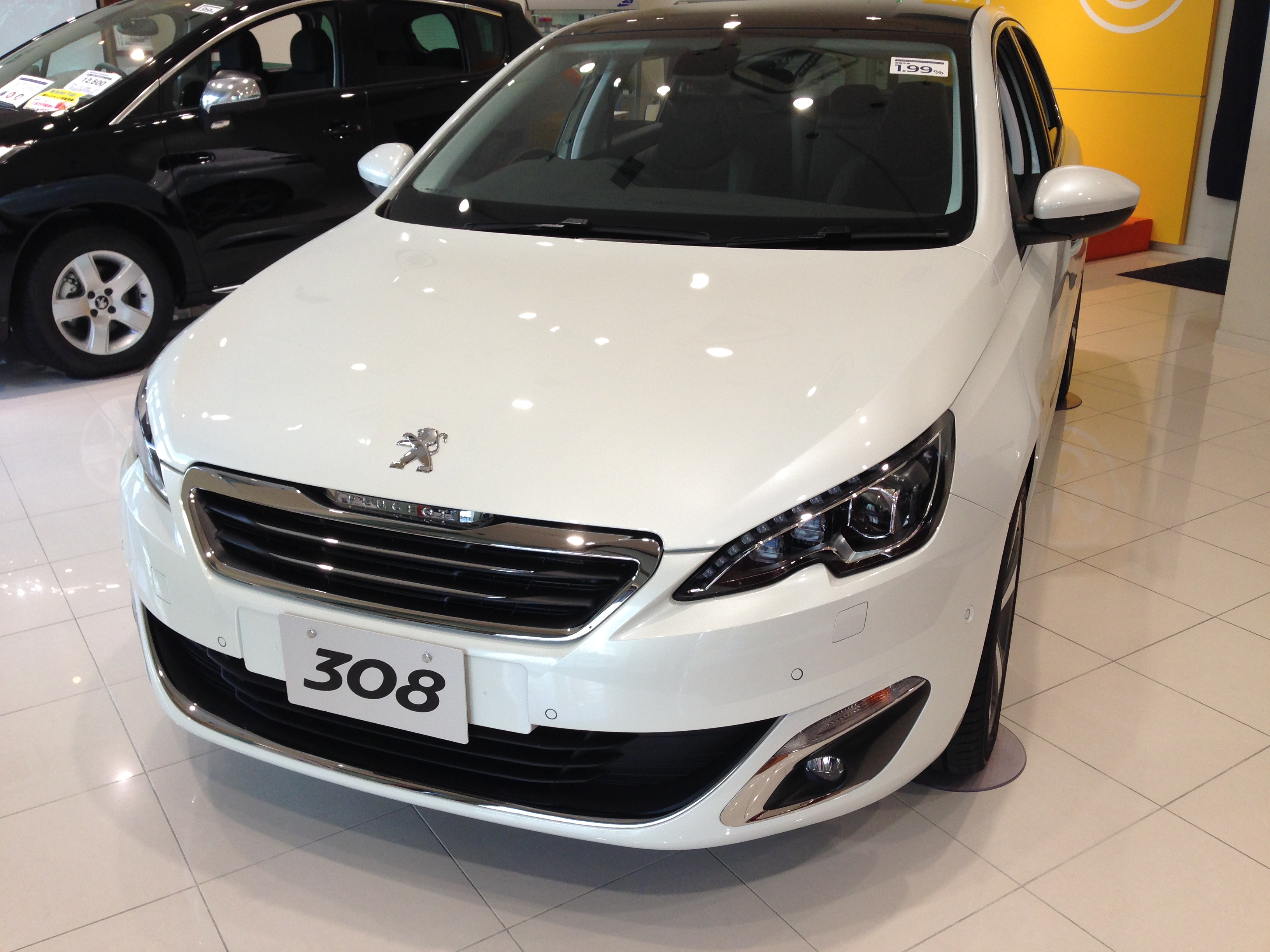 NEW３０８展示始めました