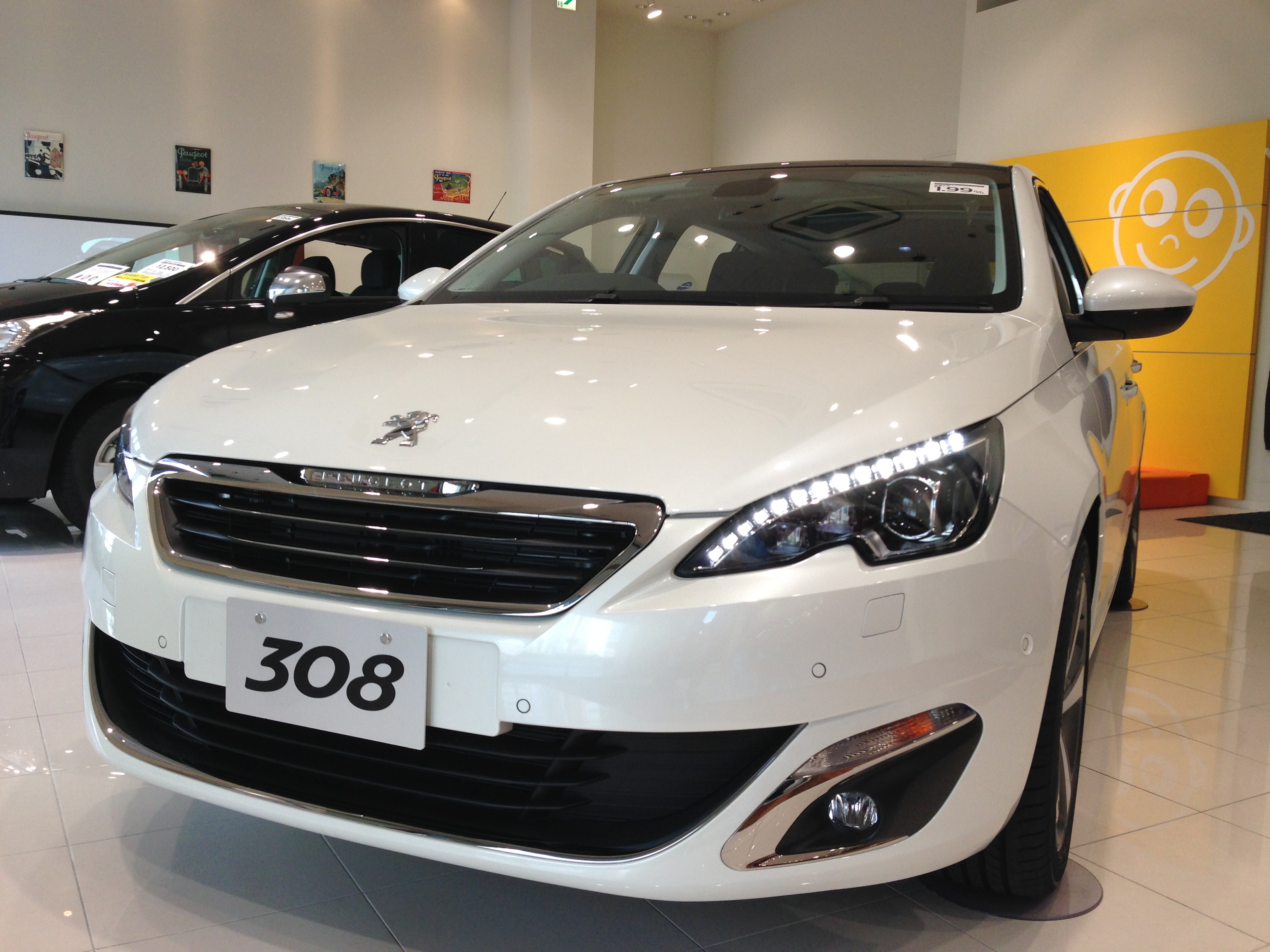 NEW３０８展示始めました