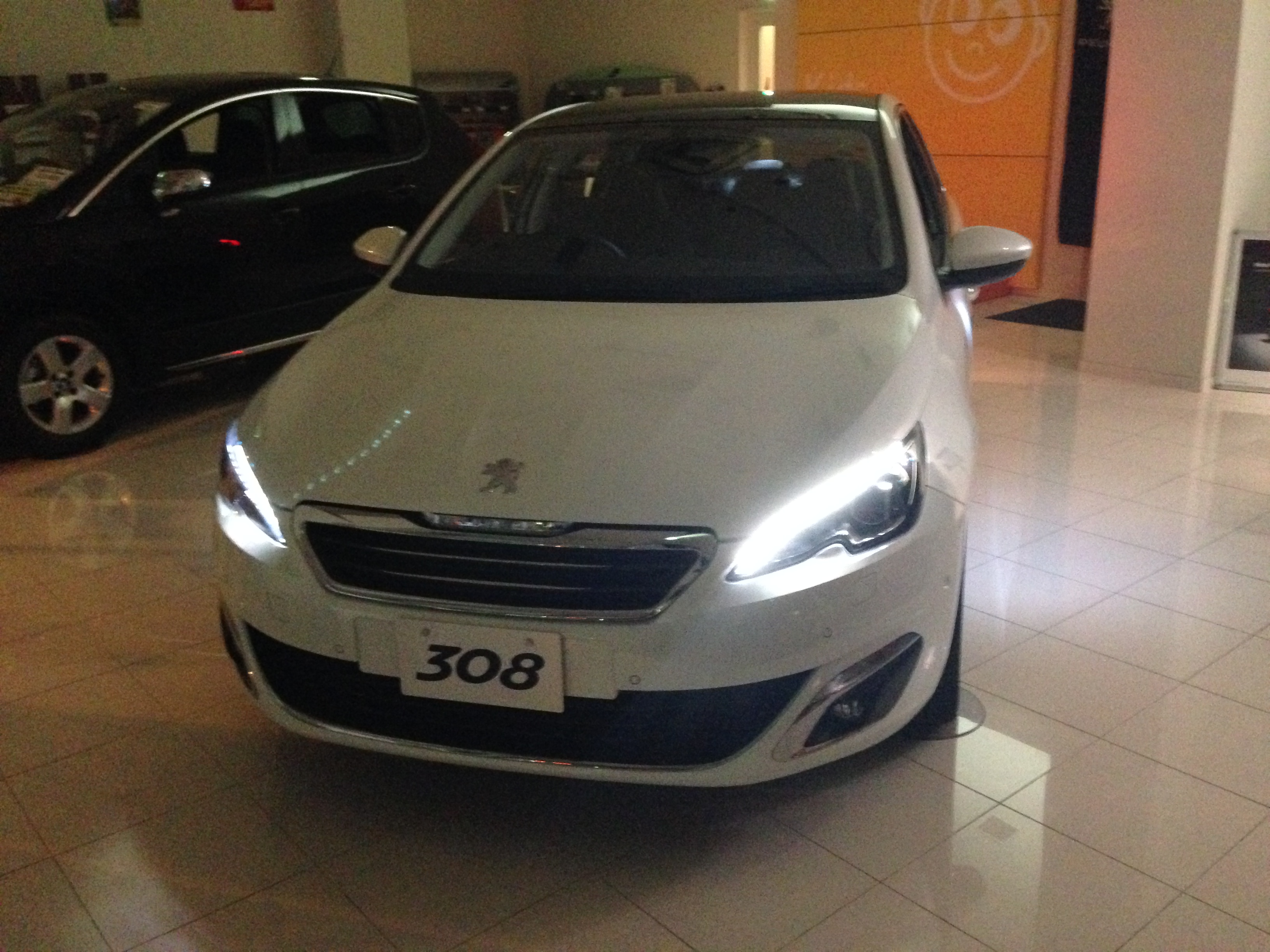 NEW３０８展示始めました