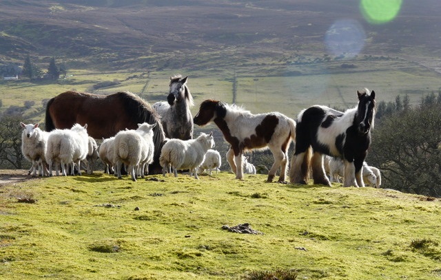 ◆年末年始休業のお知らせ◆