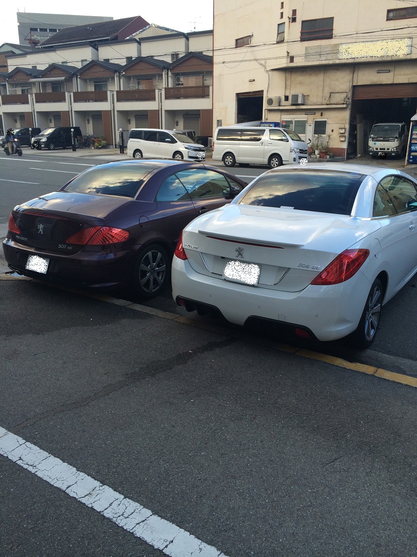 308展示車入替とCCちゃん♪