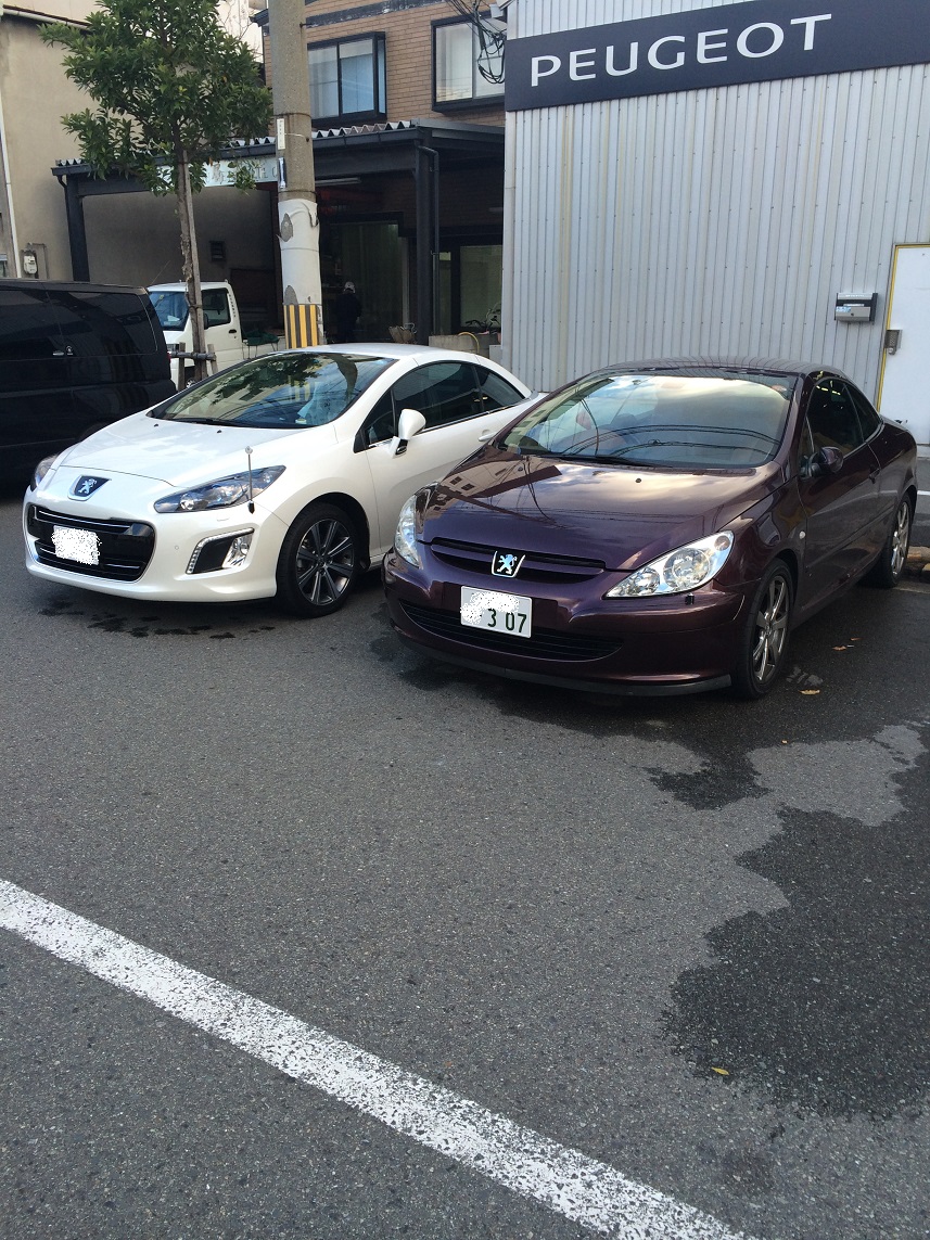 308展示車入替とCCちゃん♪