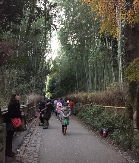 灯りにさそわれて