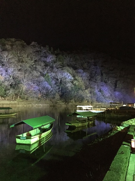 灯りにさそわれて