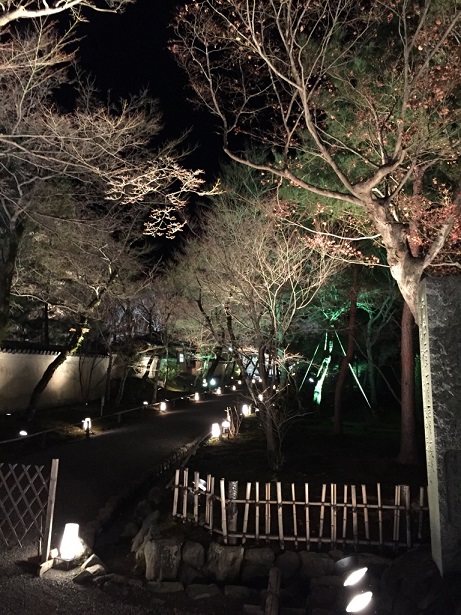 灯りにさそわれて