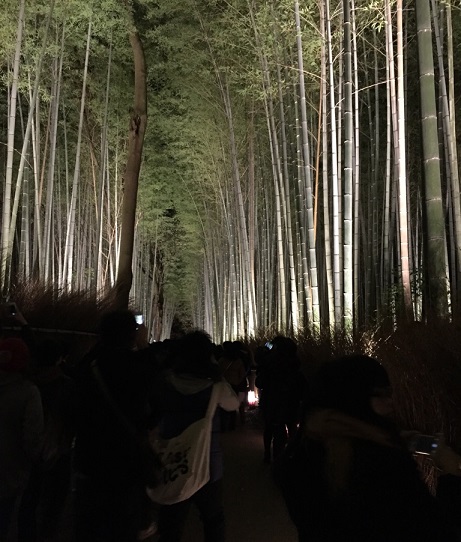 灯りにさそわれて