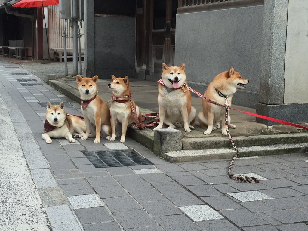 全員集合
