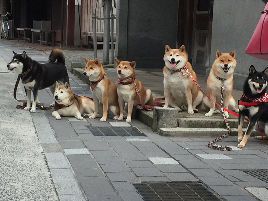 全員集合
