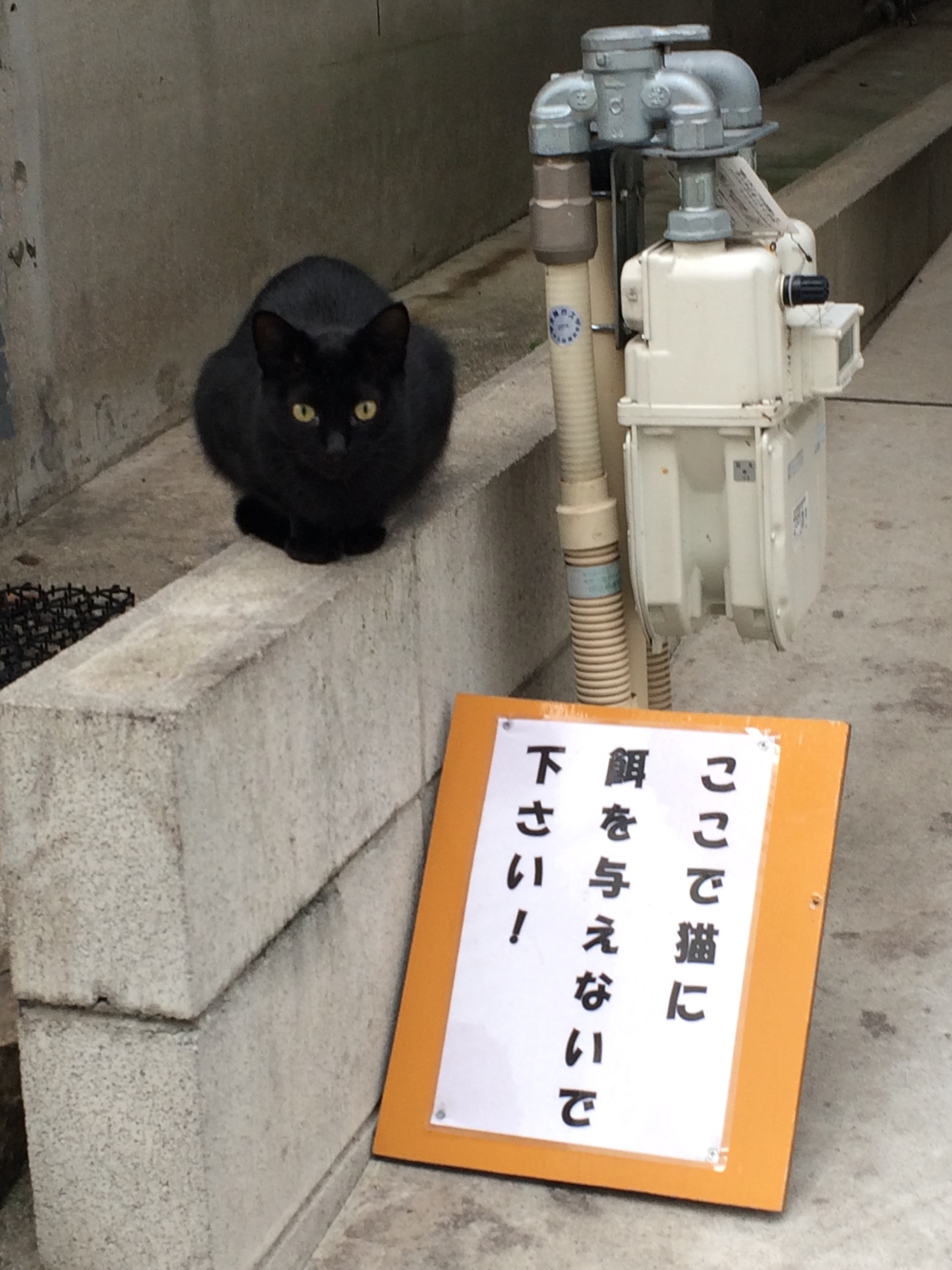 この一枚にこの一曲