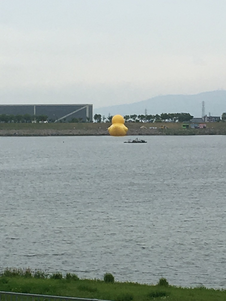 大きなアヒルさん