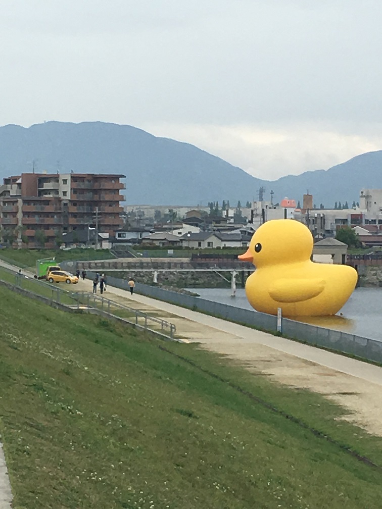 大きなアヒルさん