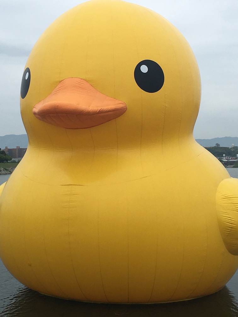 大きなアヒルさん