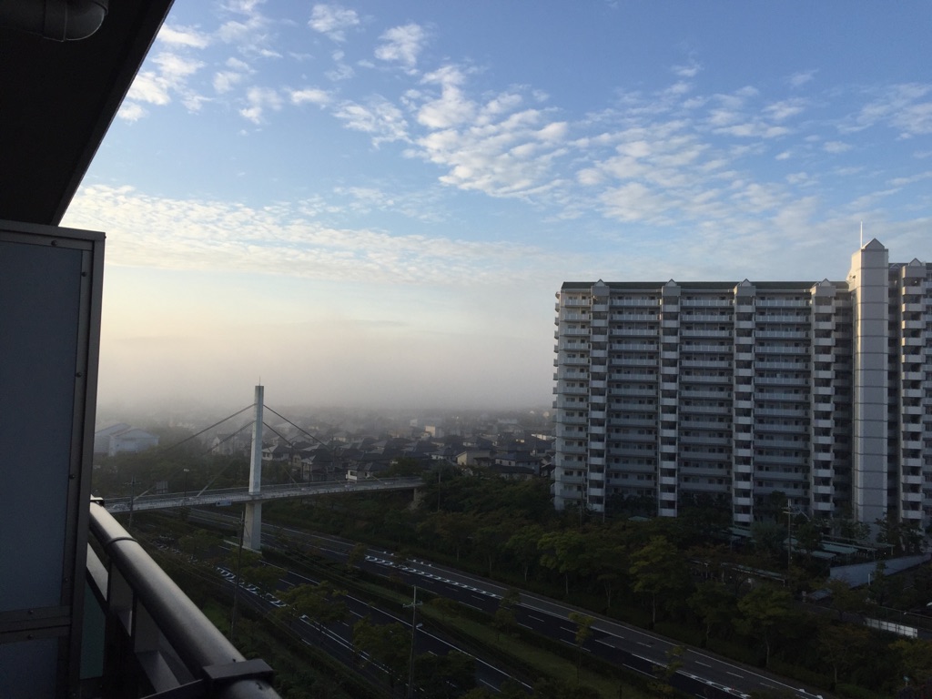 今日の天気は・・