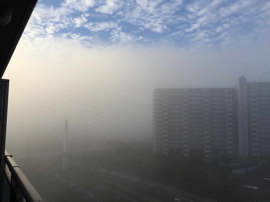 今日の天気は・・