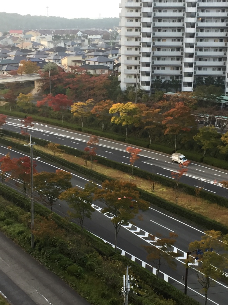 赤くなってる