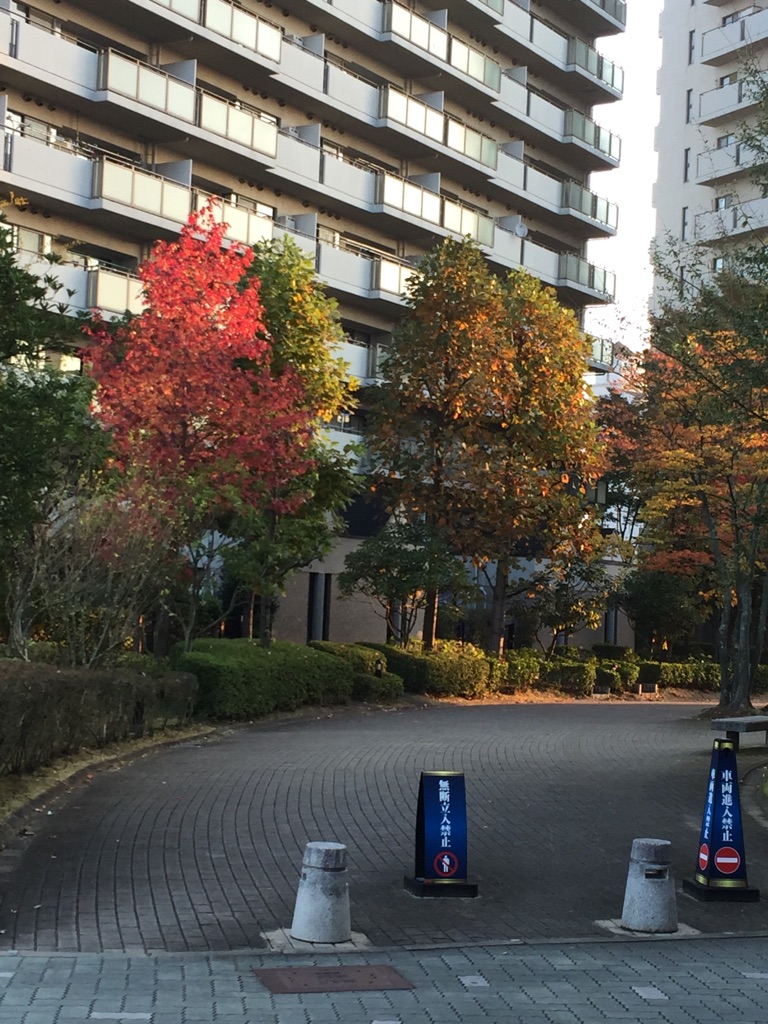 赤くなってる