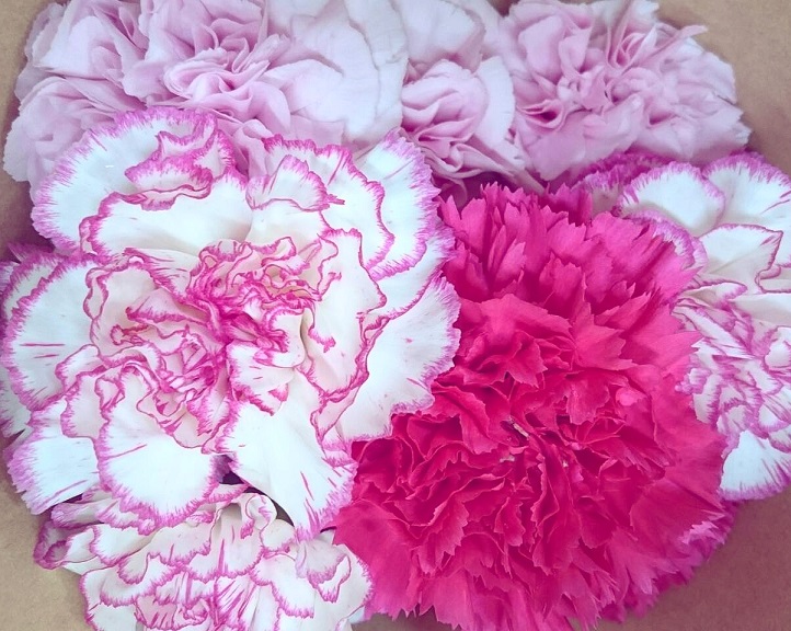 Mother's Day