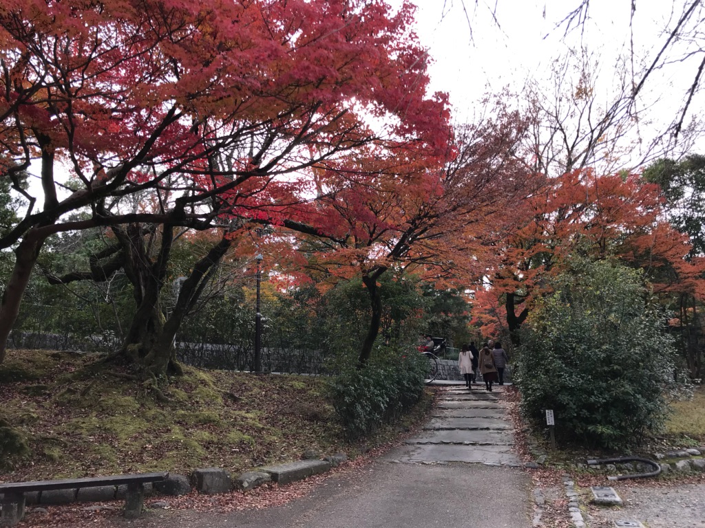 京都散策