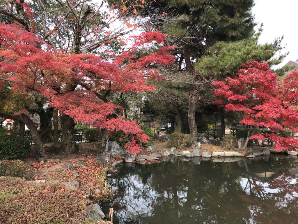 京都散策