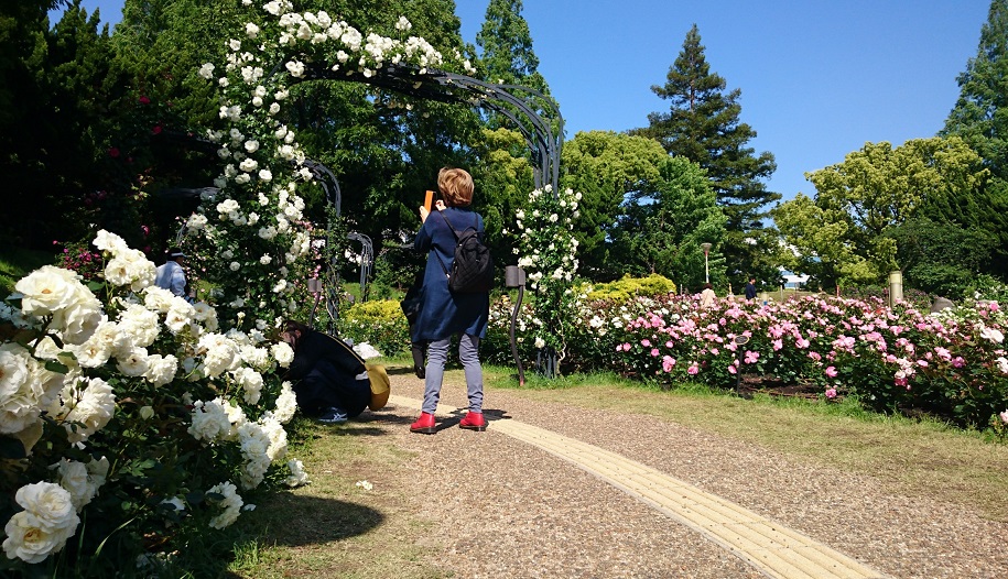 お散歩日和
