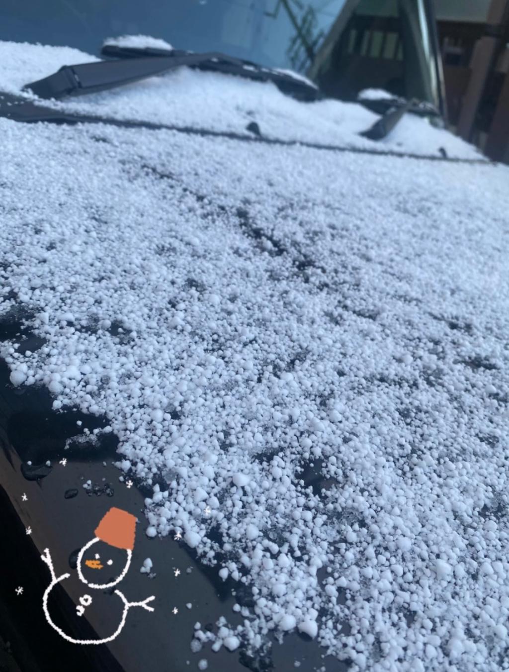 今年初雪☃