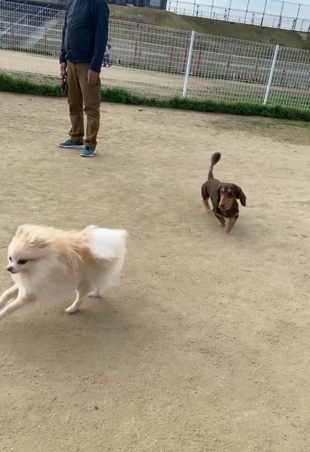食べて動いて充実した休日でした🌞