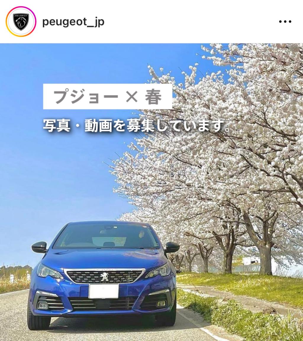 プジョー×春を投稿しましょう！🌸