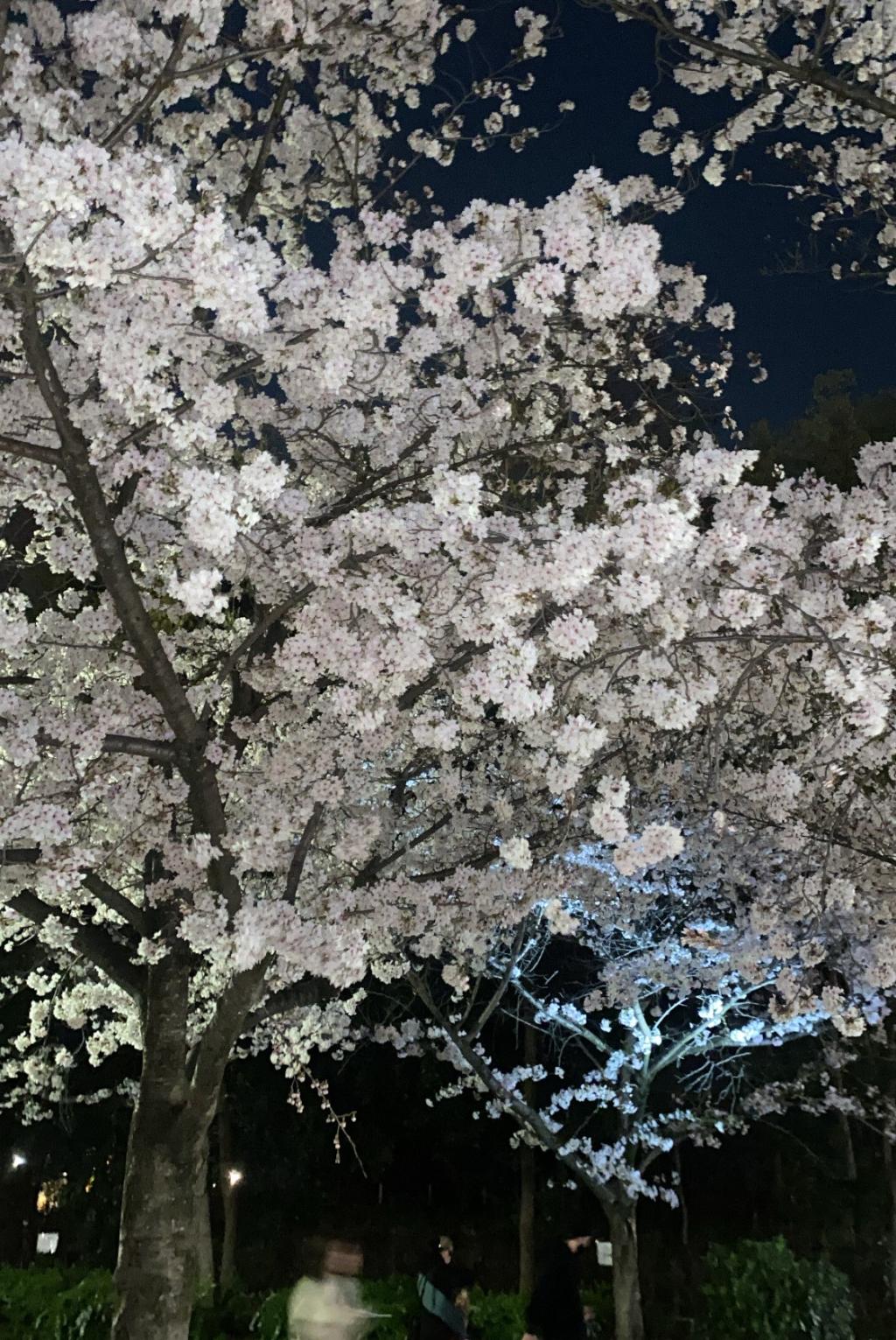４月定休日のお知らせ🦁