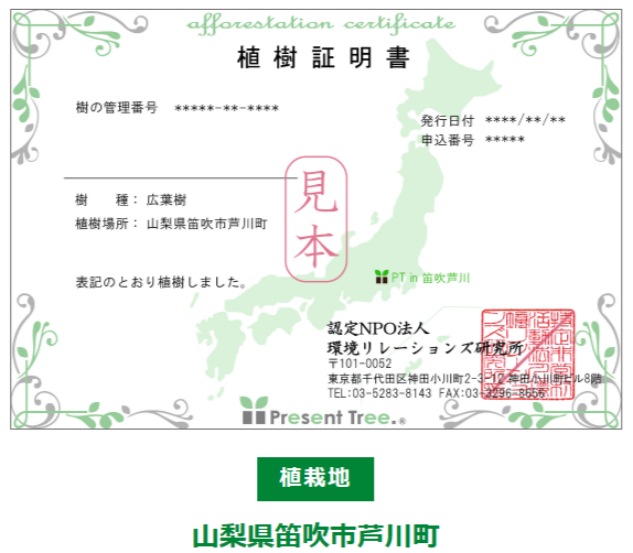 森を育てるプロジェクト🌳