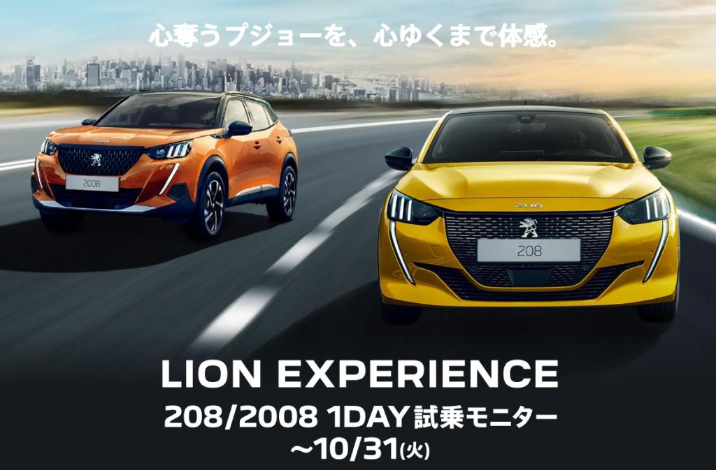 LION EXPERIENCE🦁【２０８/２００８】