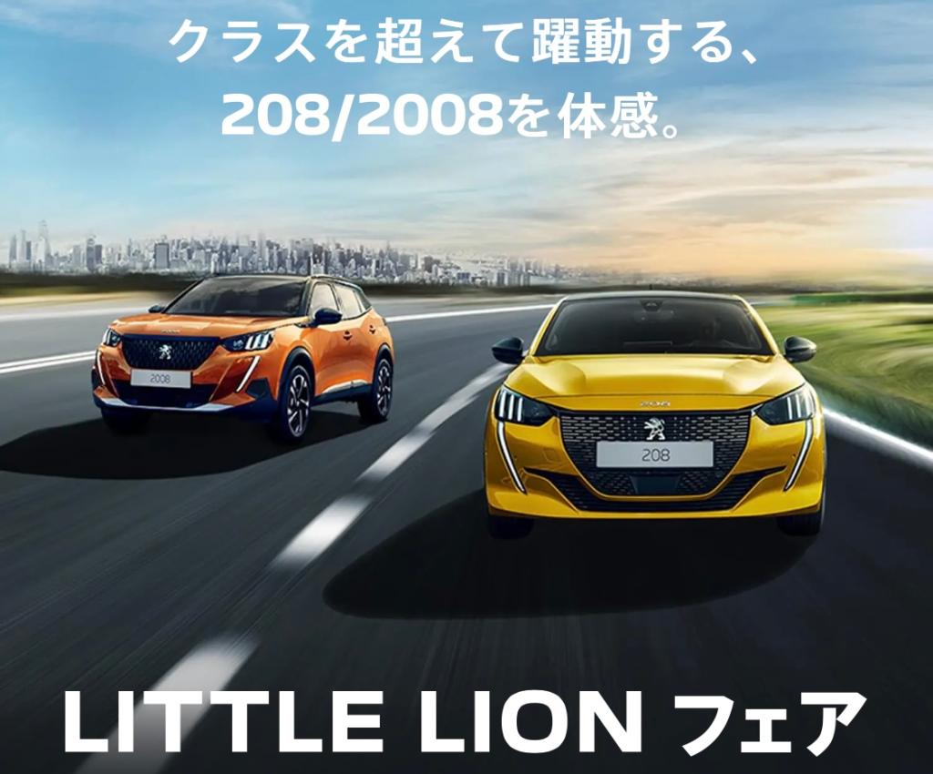 LITTLE LIONフェア開催🦁🎈
