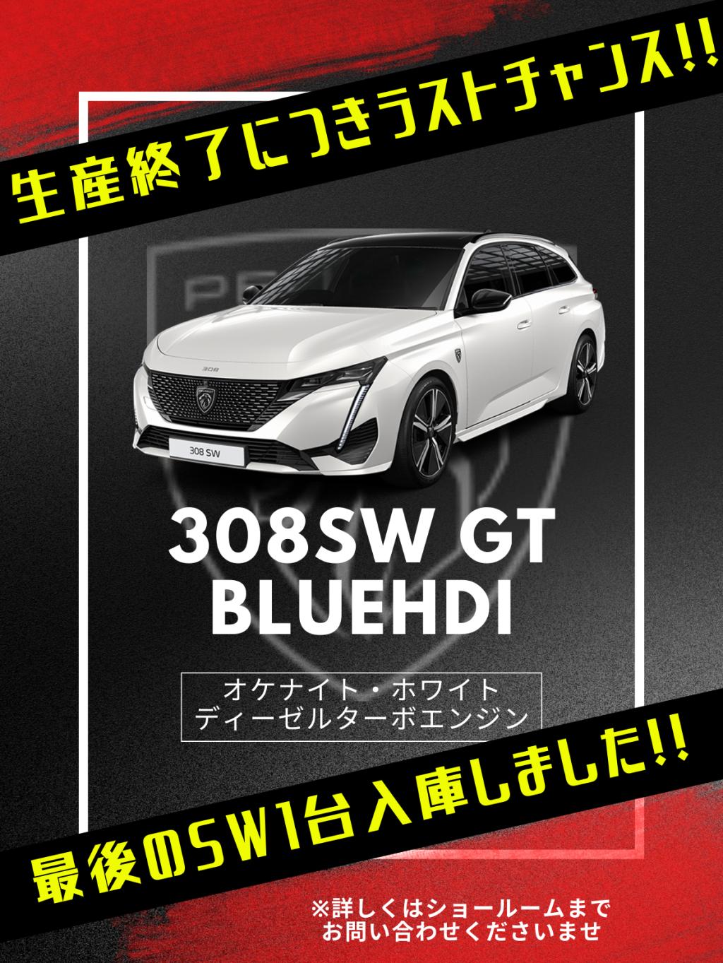 【 308SW 】生産終了につきラストチャンス❗