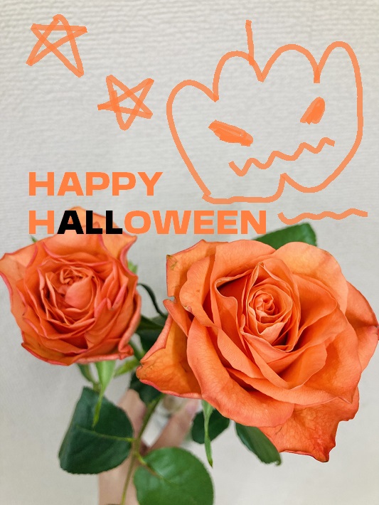 ハロウィン～🎃