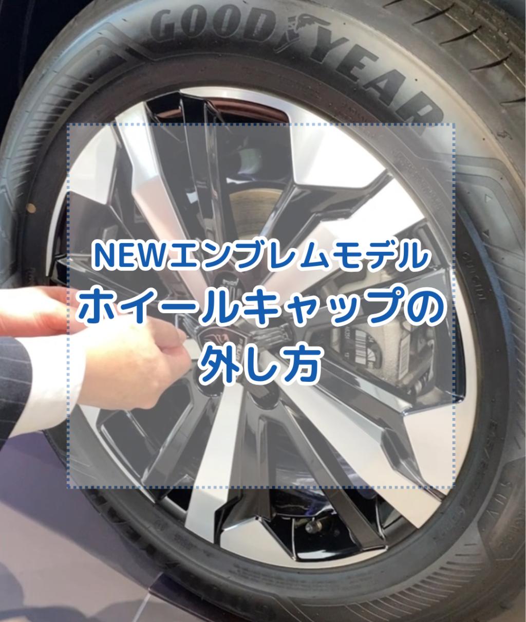 ホイールキャップの外し方🛞🪛