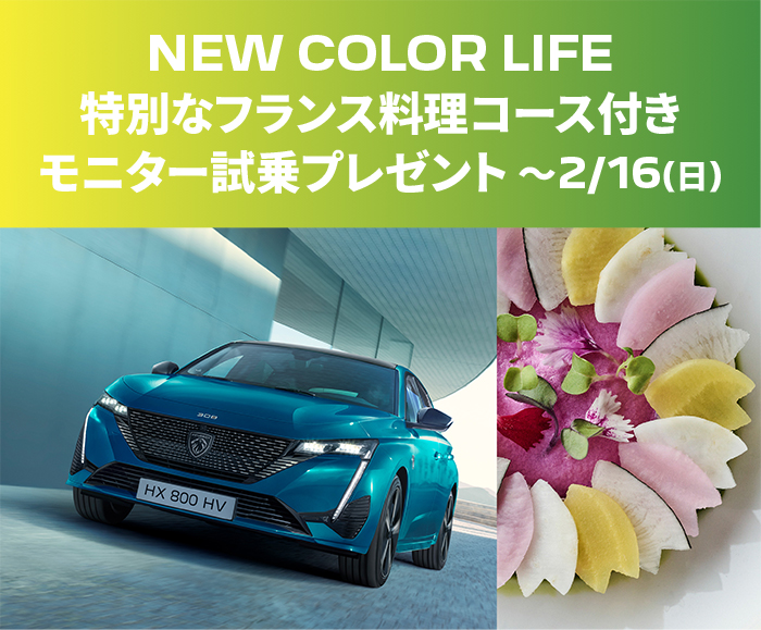 【 NEW COLOR LIFEキャンペーン🌈 】~2月16日(日)