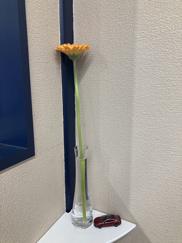 ジャックもびっくり😲🌼