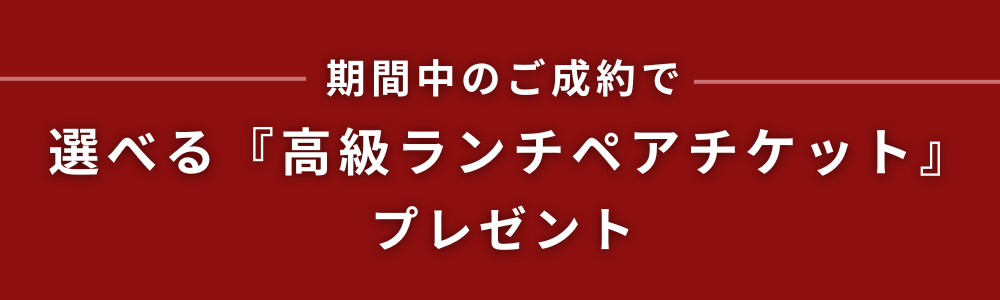 サマードライブフェア開催🏖️🌻