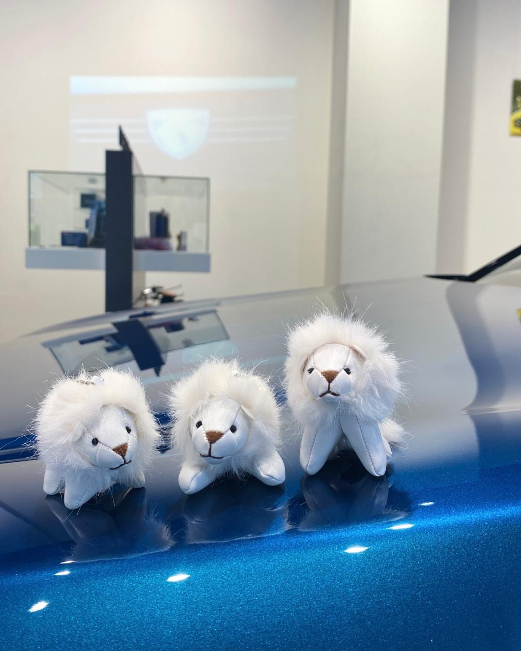 今週末は【NEW 3008デビューフェア】🦁🤍
