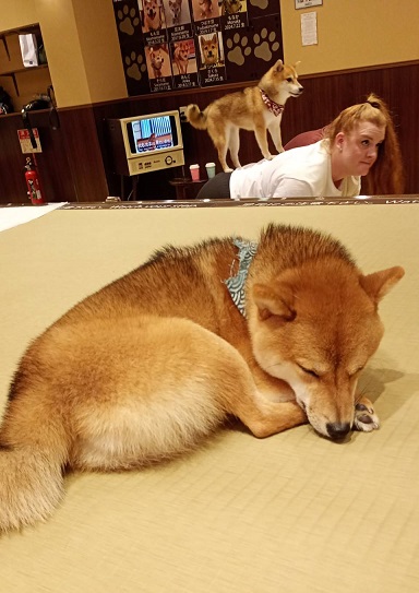 京都で癒し時間