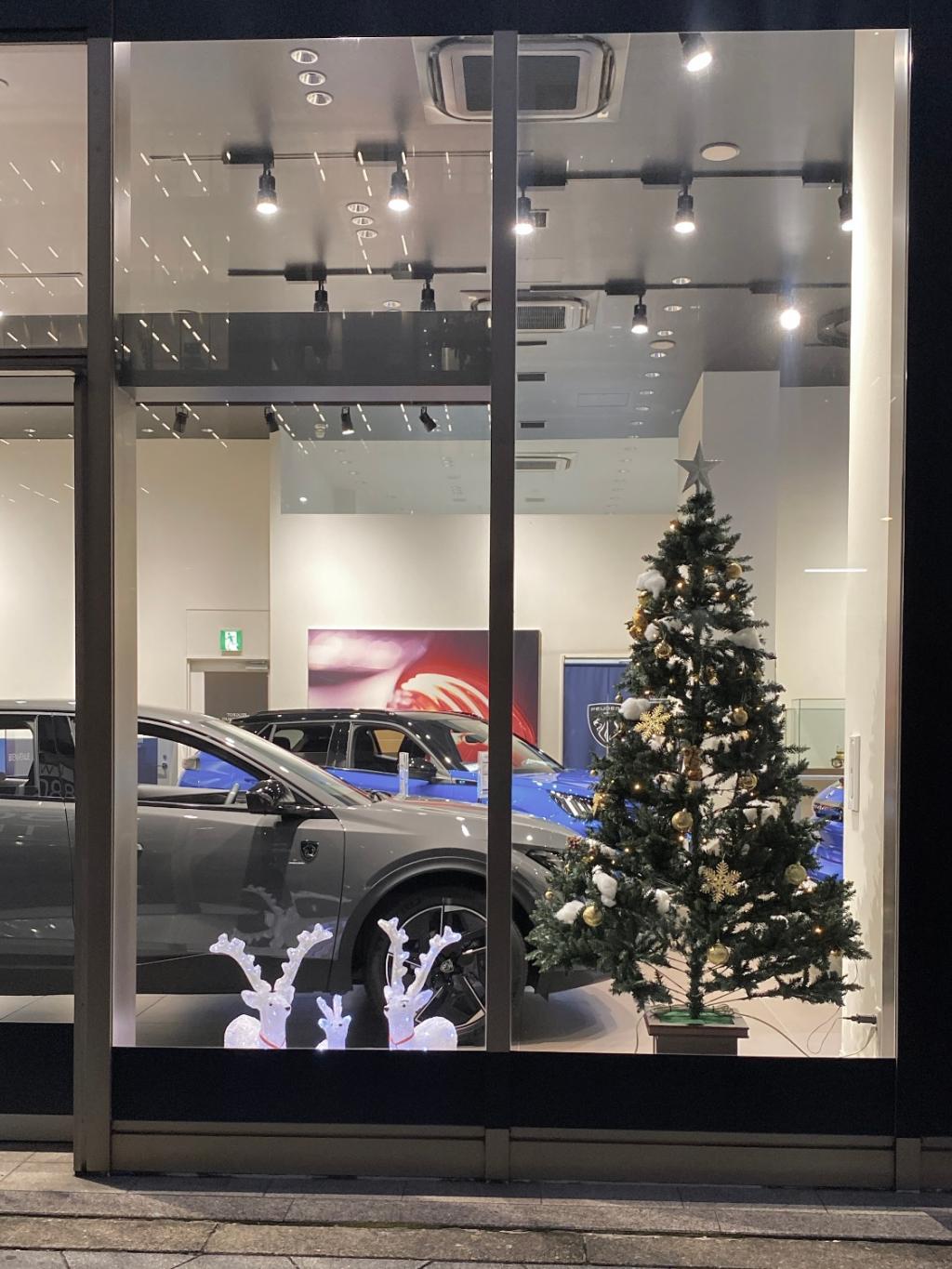 ショールームがクリスマス仕様になりました🎅